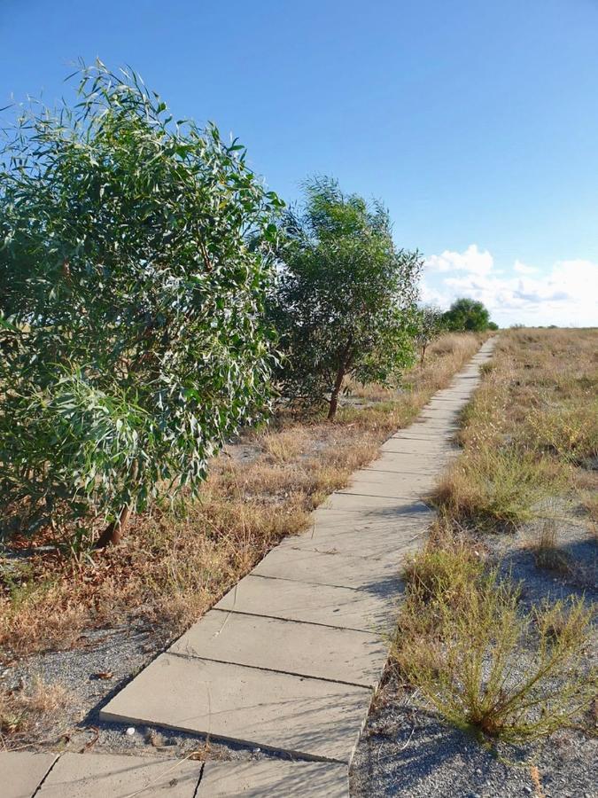 Vista Mare Su Tre Piani Con Giardino Villa Falerna Ngoại thất bức ảnh